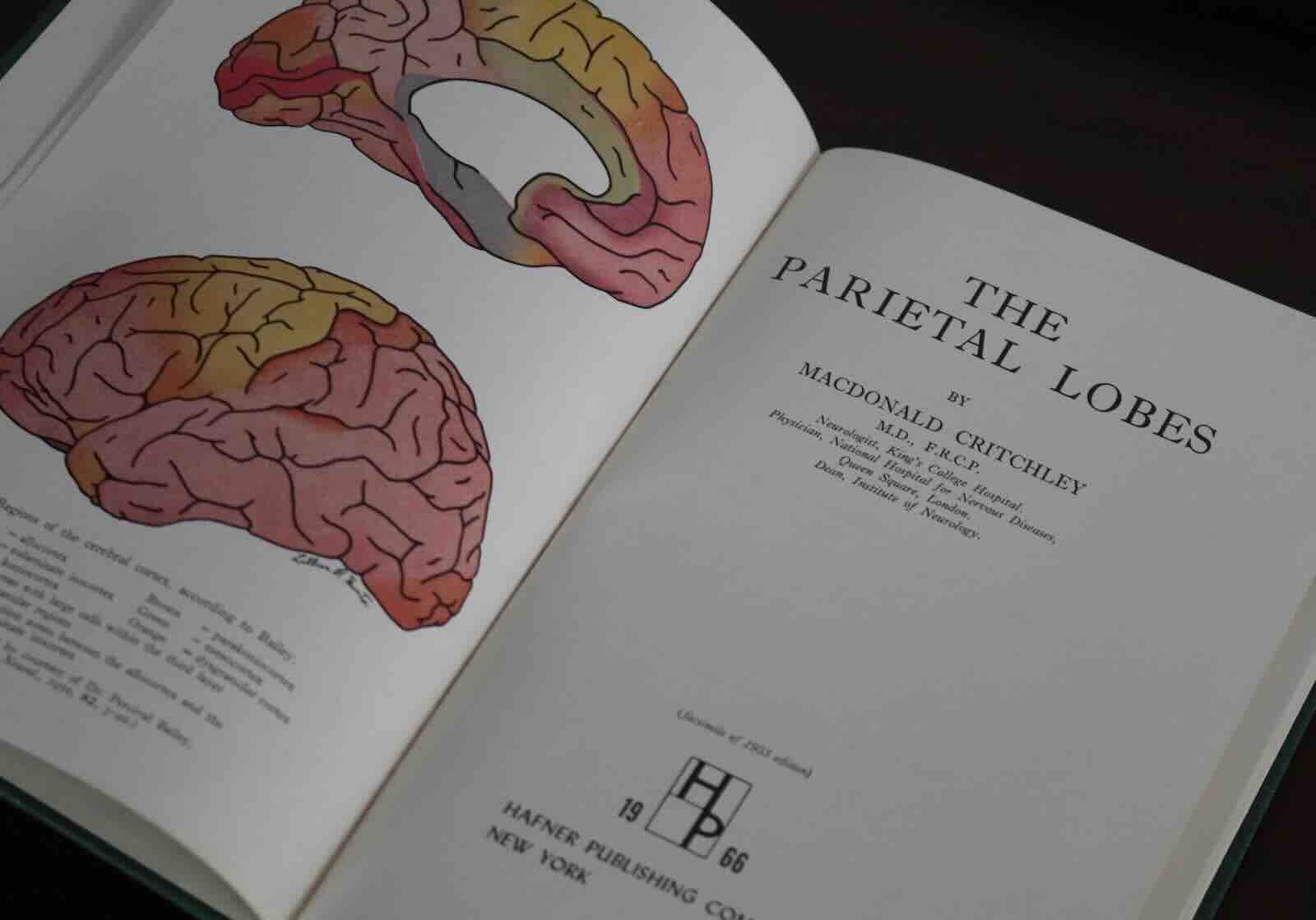 Critchley's classic text on The Parietal Lobes